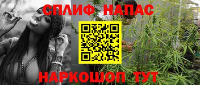 амф Кингисепп