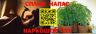 амф Кингисепп