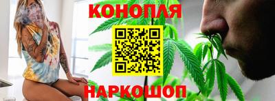 амф Кингисепп