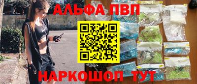 амф Кингисепп