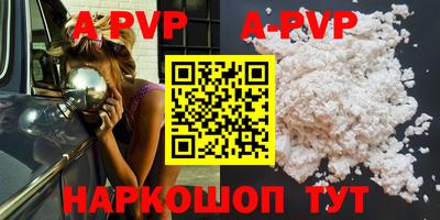 амф Кингисепп