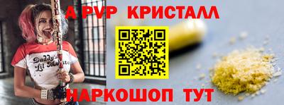 амф Кингисепп