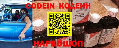 амф Кингисепп