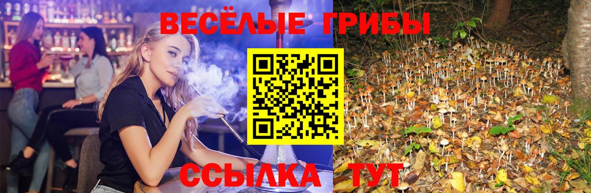 Псилоцибиновые грибы Psilocybe  Псилоцибиновые грибы Psilocybe  закладка  Лесозаводск  Вход с VPN 