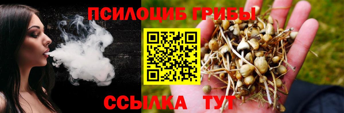 Псилоцибиновые грибы Psilocybine cubensis Лесозаводск